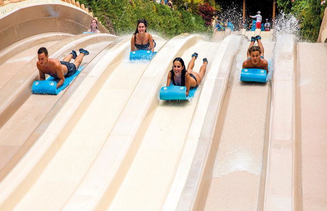 Entrada Twin Siam Park y Loro Parque - Foto 4